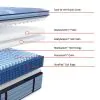 Tempur Sealy 53199840 Tempur Sealy 53199840 Posturepedic Pro - Dupont II Euro Pillow Top Medium Mattress - Full