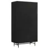 CoasterElevations 951134 Santiago - 4 Door Metal Tall Storage Cabinet - Matte Black