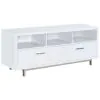 CoasterEssence 701972 Casey - 2-Drawer Engineered Wood TV Stand - White