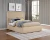 Coaster Fine Furniture 315835LFB1 Lawson - Full Headboard & Slats, Box 1 of 2 - Light Saddle