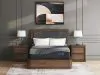 Sierra Sleep® by Ashley M31231 Millennium 2.0 Foam 14 Inch - Queen Mattress - Black