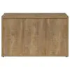 Coaster Fine Furniture 950395 Pepita - 3 Door Engineered Wood Accent Cabinet - Mango Brown