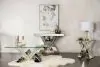 CoasterElevations 723449 Taffeta - V-Shaped Mirrored Entryway Console Table - Silver
