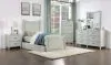 Furniture of America CM7477GY-M Lycorida - Mirror