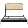 Coaster Fine Furniture 360351Q Amherst - Radio Weave Rattan Metal Queen Bed - Black