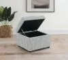 Coaster Fine Furniture 904138 Winter - Upholstered Hydraulic Lift Top Storage Ottoman - Gray
