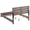 CoasterEveryday 207041Q Brantford - Wood Queen Panel Bed - Barrel Oak