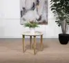 Coaster Fine Furniture 703717 Aldis - Round Marble Top Side End Table - White And Natural