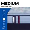 Tempur Sealy 53199840 Tempur Sealy 53199840 Posturepedic Pro - Dupont II Euro Pillow Top Medium Mattress - Full