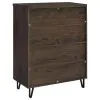 Coaster Fine Furniture 950423 Brixton - 2-Door Entryway Shoe Storage Cabinets - Smoked Oak