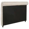 CoasterEssence 300525QB1 Devon - Upholstered Queen Panel Headboard - Beige