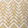 Furniture of America PL8024-2PK Jane - Pillow (Set of 2) - Gold