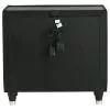 Coaster Fine Furniture 223162 Lorient - 2-Drawer LED Nightstand With USB - Black