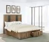 Coaster Fine Furniture 224900Q Terrace - 2-Drawer Queen Storage Bed - Ash Brown