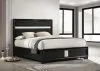 Coaster Fine Furniture 206360F Miranda - Upholstered Full Panel Bed - Black