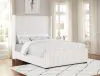 Coaster Fine Furniture 306051Q Natasha - Upholstered Queen Wingback Bed - Cream