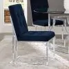 CoasterElevations 192494 Cisco - Velvet Upholstered Dining Side Chair (Set of 2) - Chrome
