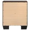 CoasterEveryday 204392 Kauffman - 2-Drawer Nightstand - Dark Cocoa