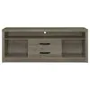 CoasterEssence 701024 Burke - 2-Drawer Engineered Wood TV Stand - Gray Driftwood