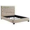 CoasterEssence 300007F Chloe - Upholstered Full Panel Bed - Oatmeal