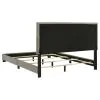 Coaster Fine Furniture 300851Q Dorian - Fabric Upholstered Queen Panel Bed - Taupe