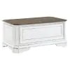Liberty Furniture 244-OT1013 Magnolia Manor - Storage Trunk - Antique White