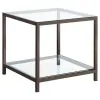 CoasterEssence 720227 Trini - 1-Shelf Glass Top Side End Table - Black Nickel
