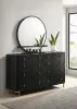 Coaster Fine Furniture 224333M Arini - 8-Drawer Dresser With Mirror - Black