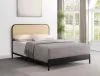 Coaster Fine Furniture 360351Q Amherst - Radio Weave Rattan Metal Queen Bed - Black
