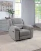 Coaster Fine Furniture 602553 Gilson - Chenille Upholstered Reclining Glider Recliner - Gray