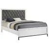 Coaster Fine Furniture 224861Q Sonora - Queen Upholstered Panel Bed - White