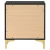 CoasterEveryday 224452 Kendall - 2-Drawer Nightstand - Black