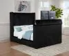 Coaster Fine Furniture 315945Q Centergrove - Upholstered Queen Wingback TV Bed - Black