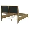 Coaster Fine Furniture 224921QB1 Granada - Queen Headboard, Box 1 of 3 - Natural Pine