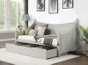 Furniture of America CM1477GY-BED Lycoris - Twin Daybed