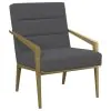 Coaster Fine Furniture 903144 Kirra - Upholstered Metal Arm Accent Chair - Dark Gray