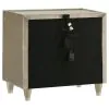 Coaster Fine Furniture 222662 Lorient - 2-Drawer LED Nightstand With USB - Ivory And Camel