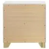Coaster Fine Furniture 224772 Caraway - 2-Drawer Nightstand - White