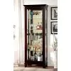 Furniture of America CM-CR135 Ludden - Curio - Dark Walnut