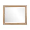 Liberty Furniture 928-BR51 Haven Hills - Landscape Mirror - Camel Beige