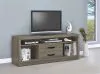 CoasterEssence 701024 Burke - 2-Drawer Engineered Wood TV Stand - Gray Driftwood