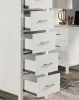 Furniture of America CM-BK970-BED Cassidy - Twin Loft Bed With Drawers - White
