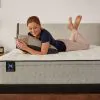 Sealy 52780062 Sealy 52780062 Essentials - Winter Green Soft Faux Euro Top Mattress - California King