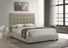 Coaster Fine Furniture 315911TANQ Medley - Genuine Leather Queen Panel Platform Bed - Tan
