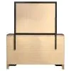 CoasterEveryday 206363M Miranda - 7-Drawer Dresser With Mirror - Black