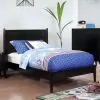 Furniture of America CM7386BK-Q-BED Lennart - Queen Bed - Black
