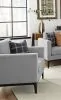 CoasterElevations 508683 Apperson - Upholstered Track Arm Accent Chair - Light Gray
