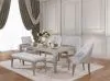 Furniture of America CM3020SC-2PK Diocles - Side Chair (Set of 2) - Silver / Gray