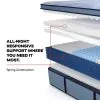 Tempur Sealy 53199240 Tempur Sealy 53199240 Posturepedic Plus - Paterson II Euro Pillow Top Firm Mattress - Full