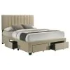 Coaster Fine Furniture 316010QB1 Wheatland - Queen Headboard, Drawers & Slats, Box 1 of 2 - Light Brown